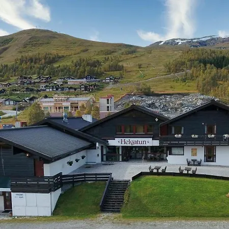 酒店 Helgatun Fjellpensjonat